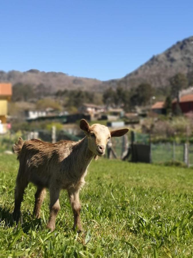 Hogar Gallan Gondomar Exteriér fotografie