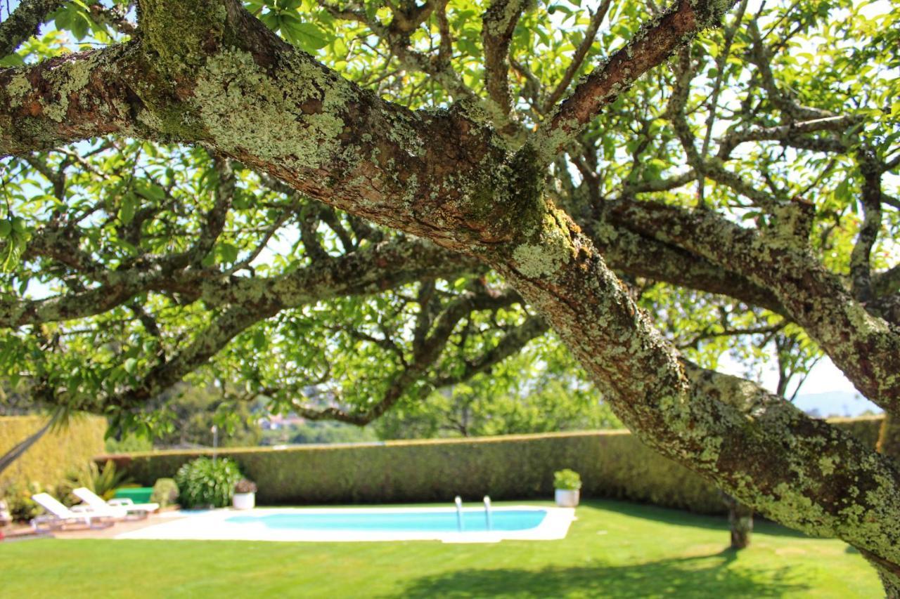 Hogar Gallan Gondomar Exteriér fotografie